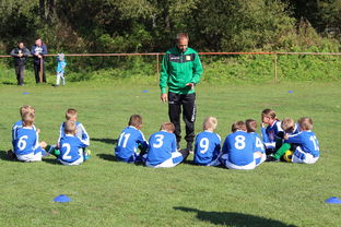 电竞赛场焦点！韩国队对阵澳大利亚队，战术博弈精彩纷呈，教练斗智斗勇